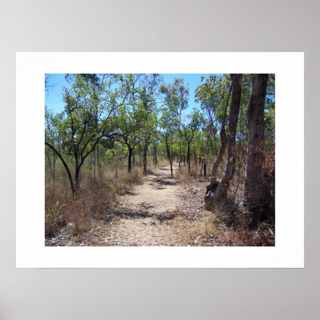 Through the Trees Australia Colour Photography Poster (Front)