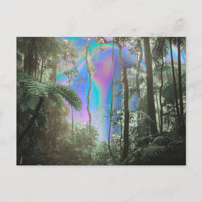 Through the Trees Postcard (Front)