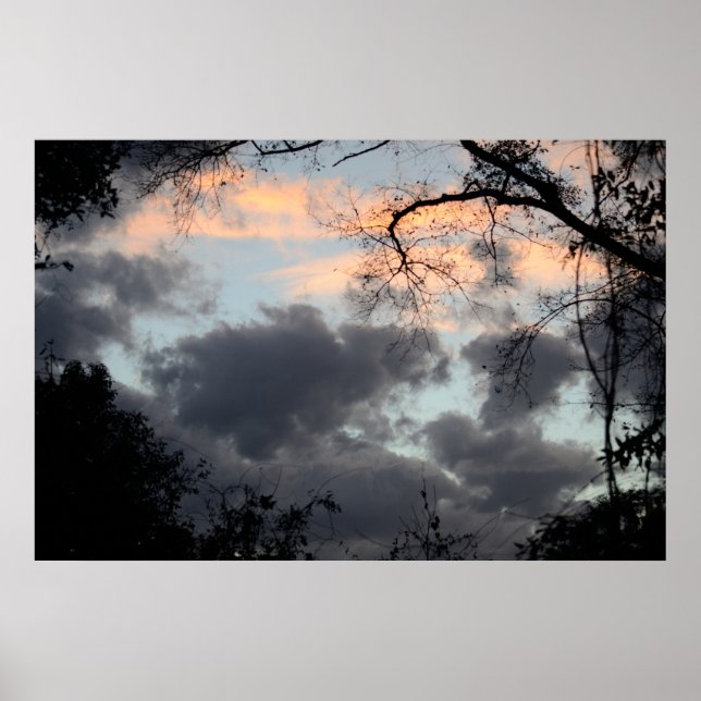 Through the Trees Poster (Front)