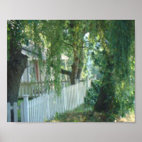 Through The Weeping Willow Poster