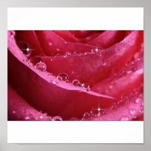 Through The Window Of Light Poster