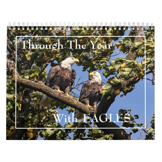 Through The Year With Eagles Calendar (Cover)