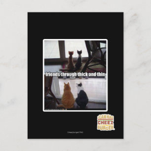 Through thick and thin postcard