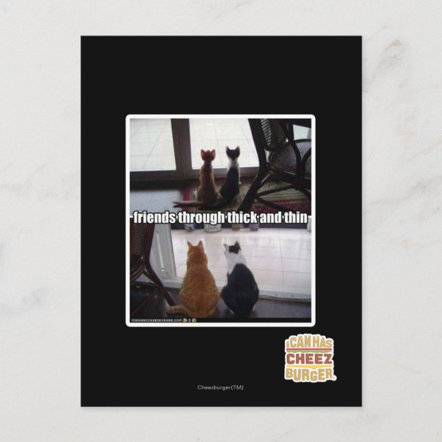 Through thick and thin postcard (Front)