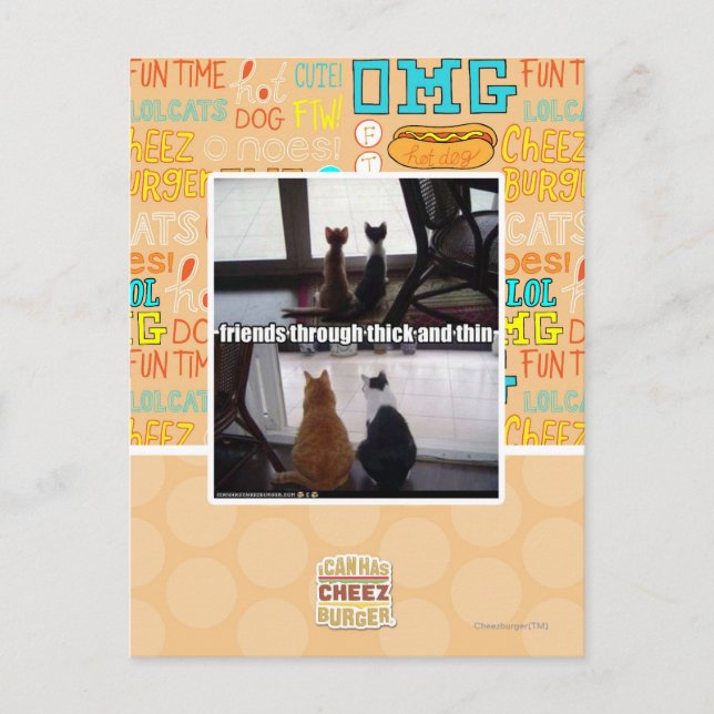 Through thick and thin postcard (Front)