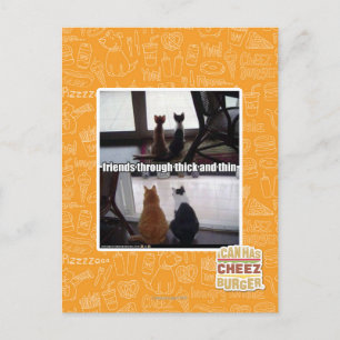Through thick and thin postcard