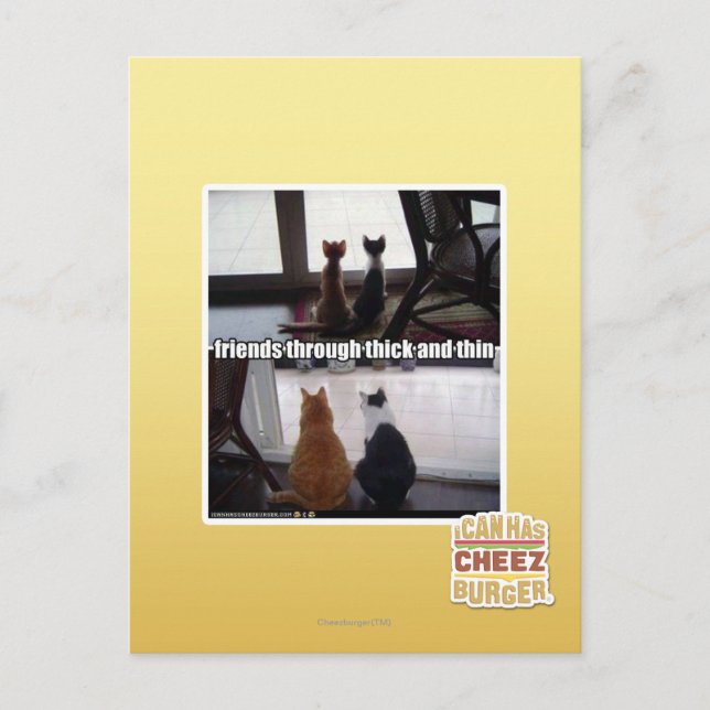 Through thick and thin postcard (Front)