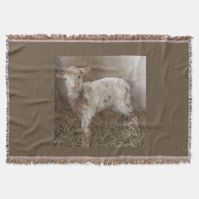 Throw Blanket (Front)