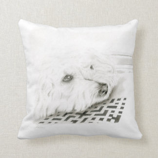 Throw Cushion, Throw Cushion 41 x 41 cm