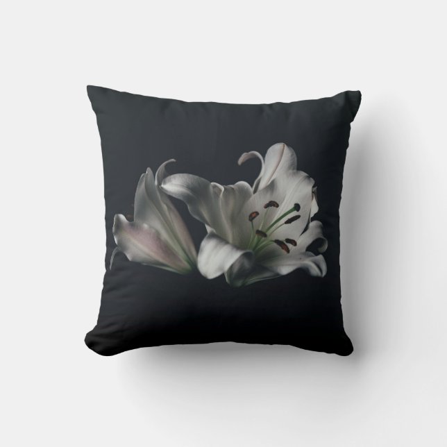 Throw Pillow (Front)