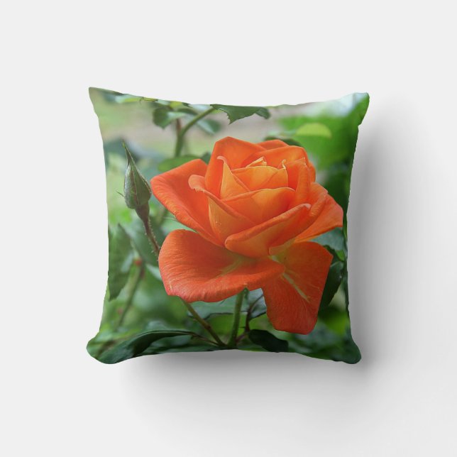 Throw Pillow (Front)