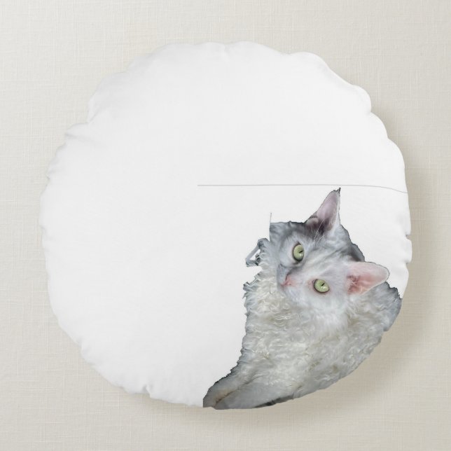 Throw Pillow (Front)