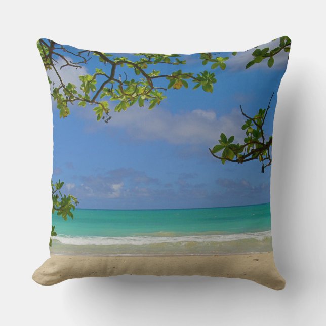 Throw Pillow (Front)