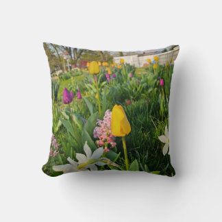 Throw Pillow