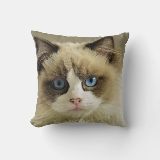 Throw Pillow 16" x 16" (Front)
