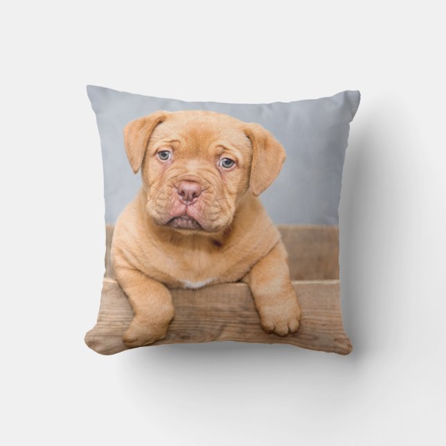 Throw Pillow 16" x 16" (Front)