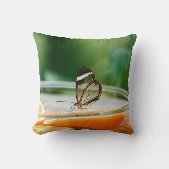 Throw Pillow 16" x 16" (Front)