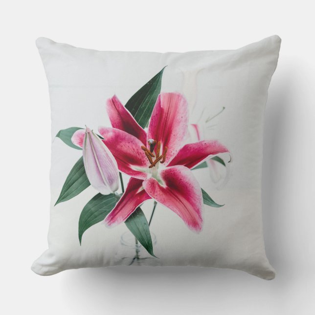 Throw Pillow 20" x 20" (Front)