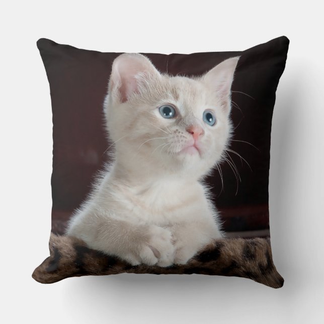 Throw Pillow 20" x 20" (Front)