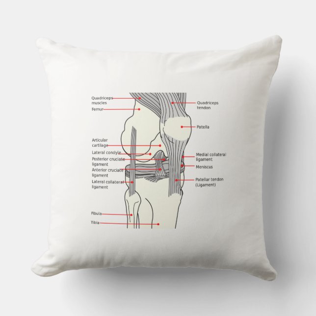 Throw Pillow Anatomical Diagram human right knee (Front)