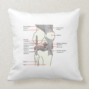 Throw Pillow Anatomical Diagram human right knee