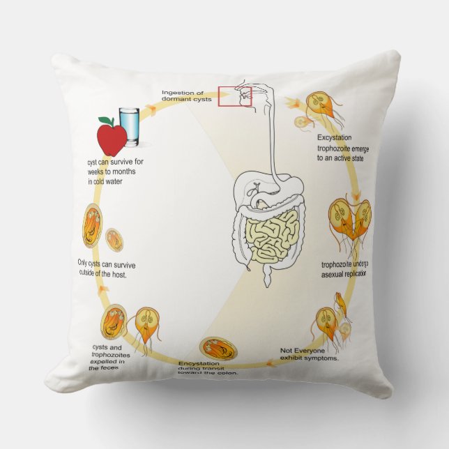 Throw Pillow Diagram Giardia Life Cycle Parasite (Front)