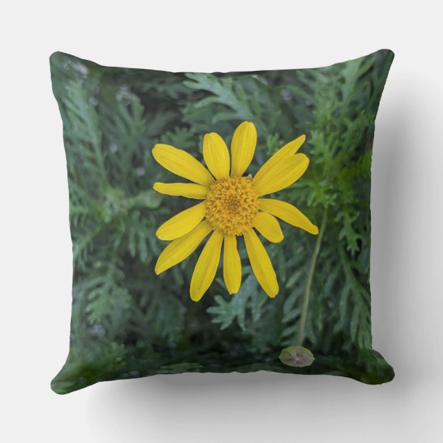 Throw Pillow-Floral series-Euryops-Daisy Pillow (Back)