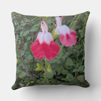 Throw Pillow-Floral series -Hot Lips salvia Cushion