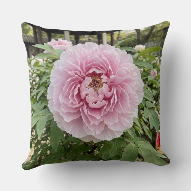 Throw Pillow-Floral series Peony- Pillow (Back)