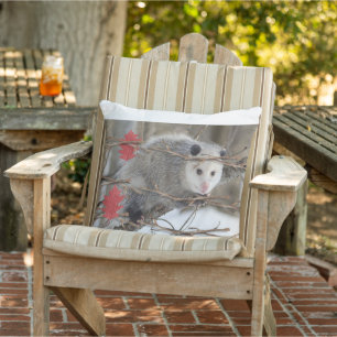 Throw Pillow Opossum Nature