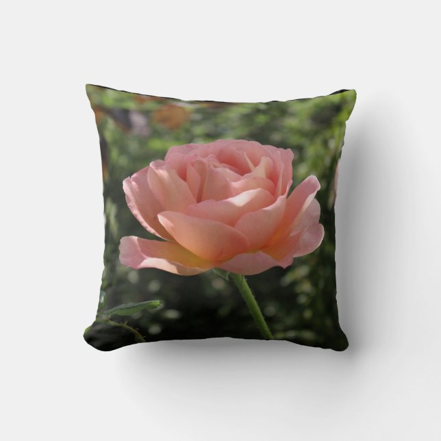 Throw Pillow with "Abraham Darby" Rose (Front)
