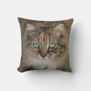 throw pillow with beautiful green-eyed cat