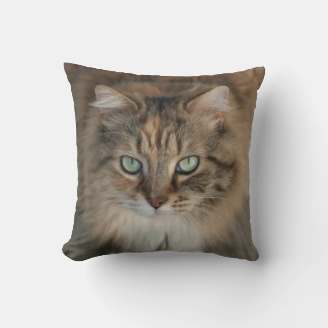 throw pillow with beautiful green-eyed cat (Front)