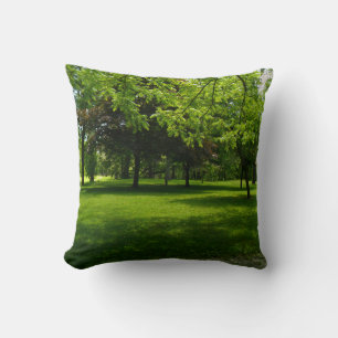 Throw pillows