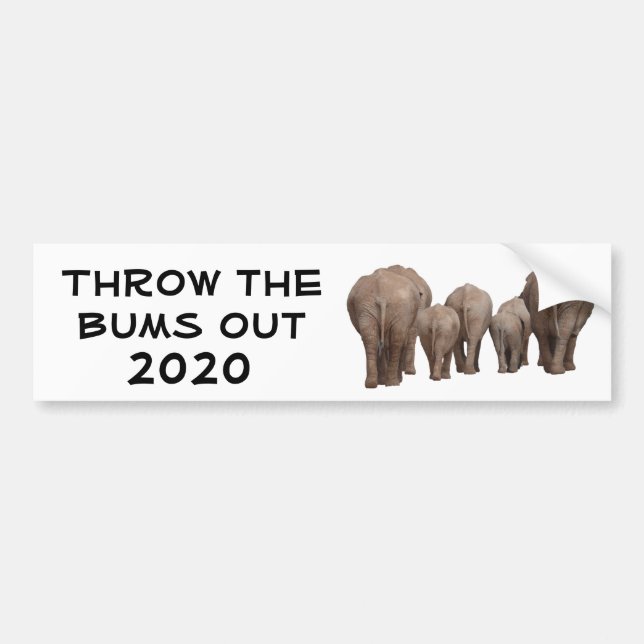 Throw the Bums Out 2020 Bumper Sticker (Front)