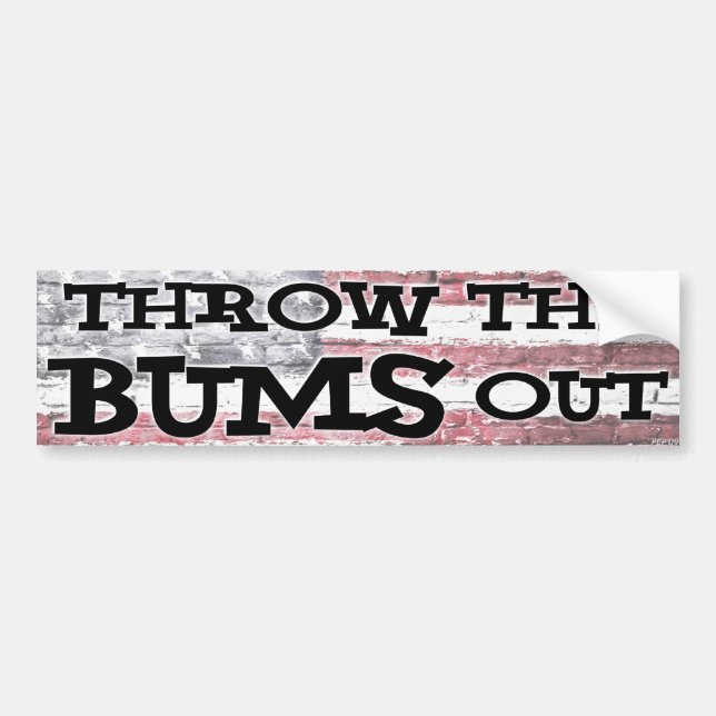 Throw The Bums Out Bumper Sticker (Front)