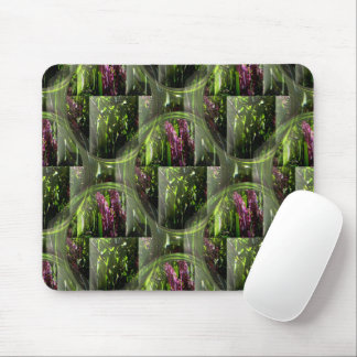 Thru my windows..... mouse pad