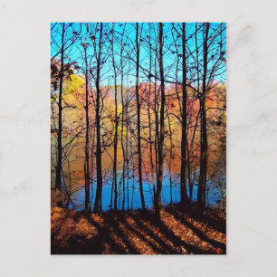 Thru Trees Postcard