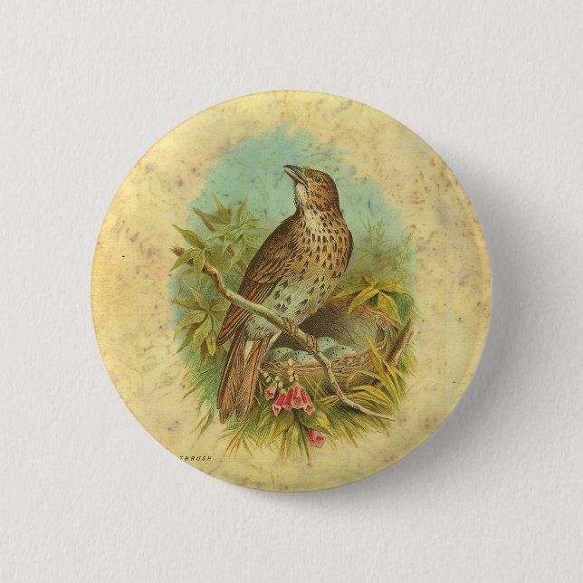 Thrush Vintage 6 Cm Round Badge (Front)