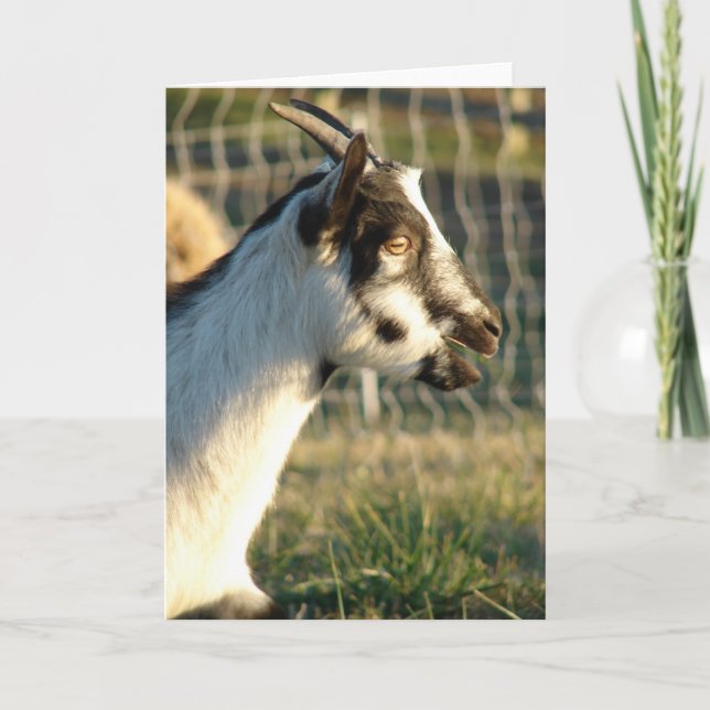 Thumbelina The Goat Card (Front)