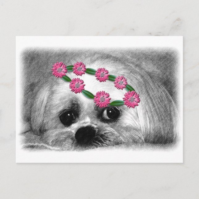 Thumbellina. is my name I'm a beautiful maltese Postcard (Front)