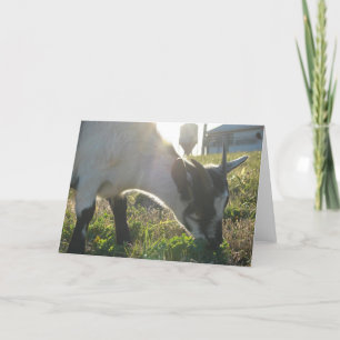 Thumbi Card
