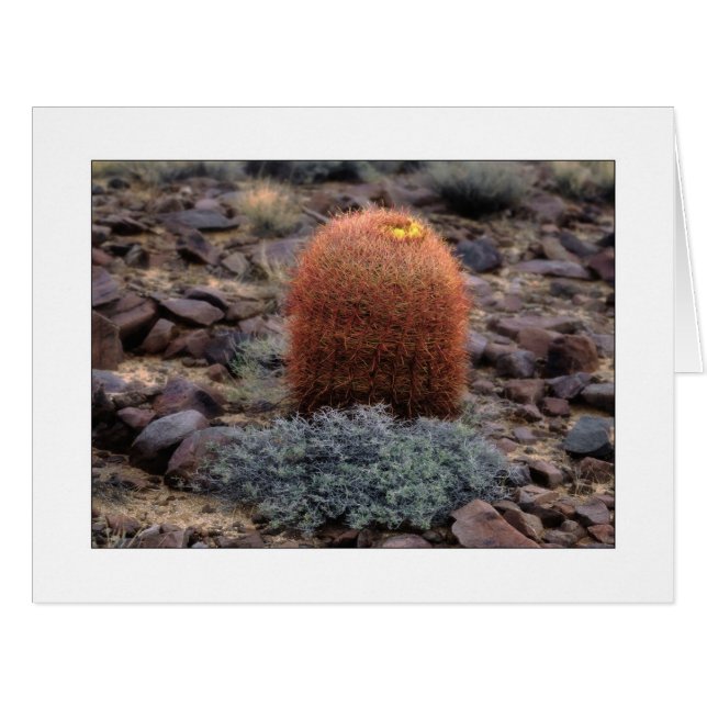 "Thumbs Up" (Front Horizontal)