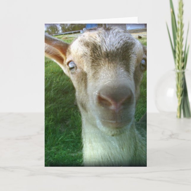 Thunder Card (Front)