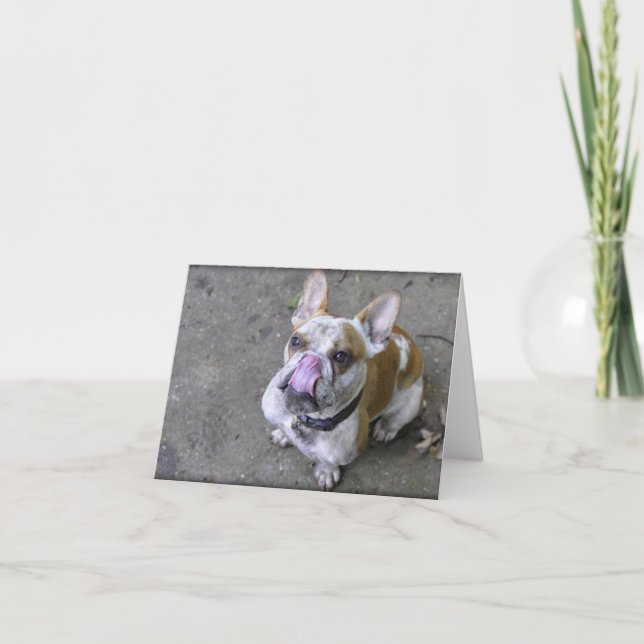Thunder The Bulldog Greeting Cards (Front)