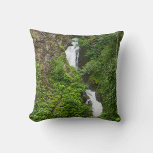 Thunderbird Falls Painterly Cushion