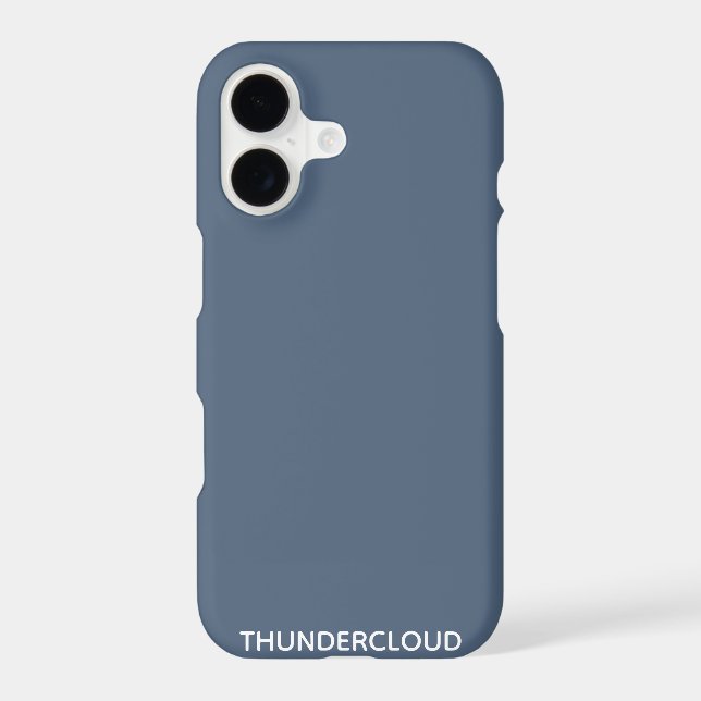 Thundercloud Blue-gray Color Name (Back)