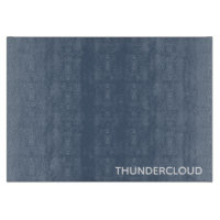 Thundercloud Blue-gray Color Name