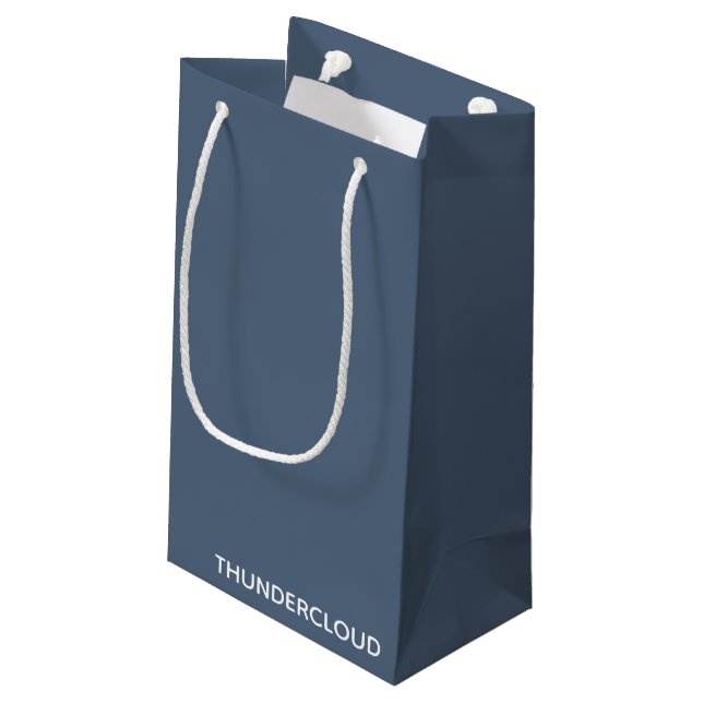 Thundercloud Blue-gray Color Name Small Gift Bag (Back Angled)