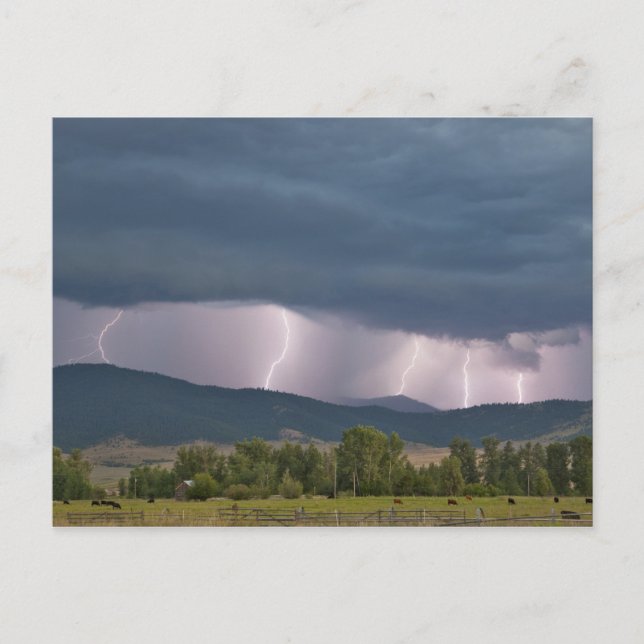 Thunderstorm produced lightning in the Jocko Postcard (Front)